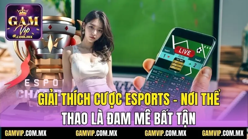 Giải Thích Cược Esports - Nơi Thể Thao Là Đam Mê Bất Tận