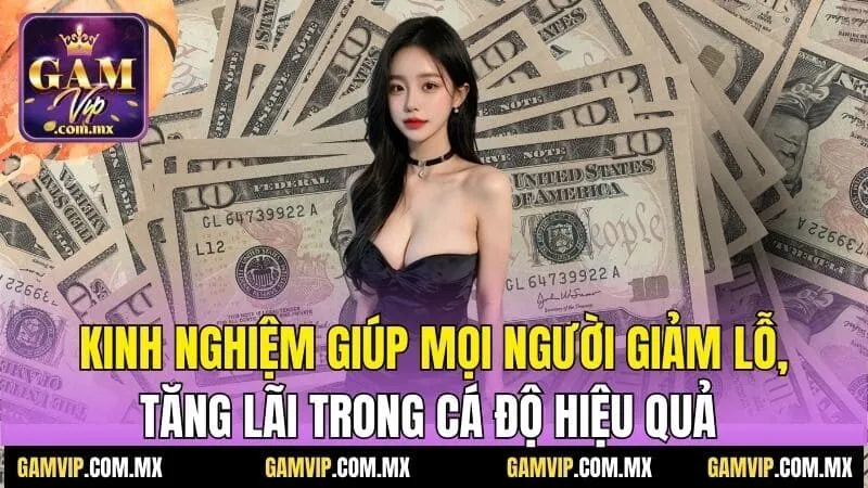 Lỗ lãi trong cá độ - Hiểu rõ để tối ưu tiền thưởng 7 Kinh nghiệm giúp mọi người giảm lỗ, tăng lãi trong cá độ hiệu quả