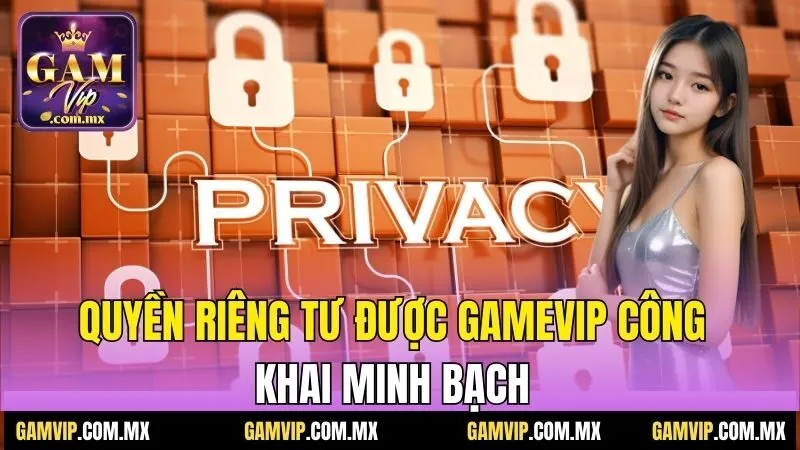 Quyền Riêng Tư Gamvip - Những Thông Tin Mới Nhất Năm 2025 1 Quyền riêng tư được Gamvip công khai minh bạch